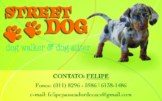 Passeador de cães - dog walker