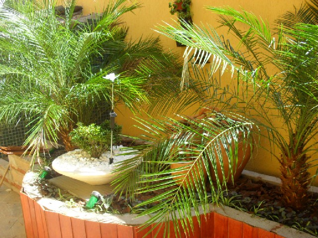 Jardinagem e paisagismo